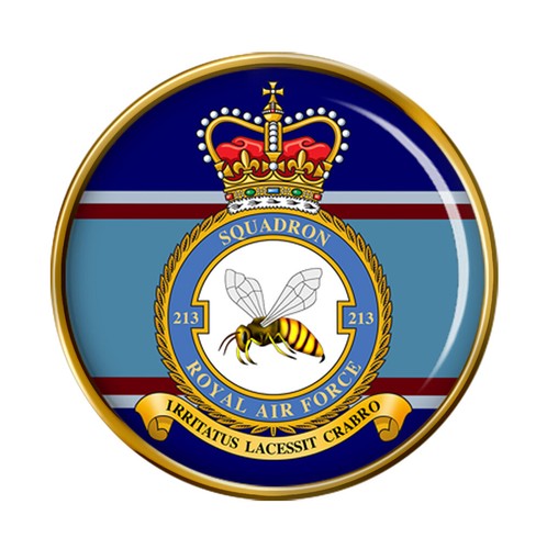 213 squadron raf - pin, badge