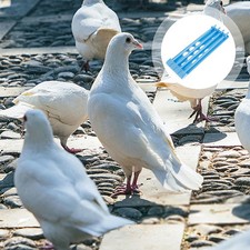  2 Pcs Pigeon Training Basket