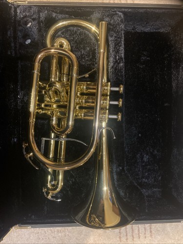 Yamaha neo cornet in - neo,