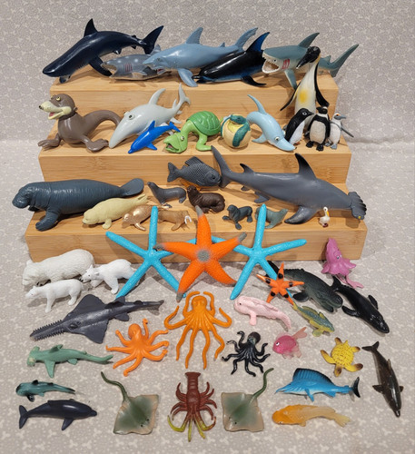 Dolphin seal fish octopus - seal,