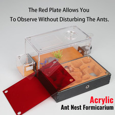 Acrylic Ant Nest Formicarium