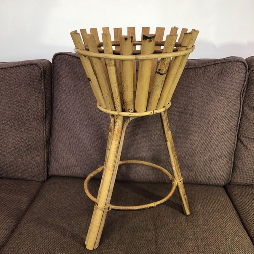 Vintage bamboo house plant - vintage,