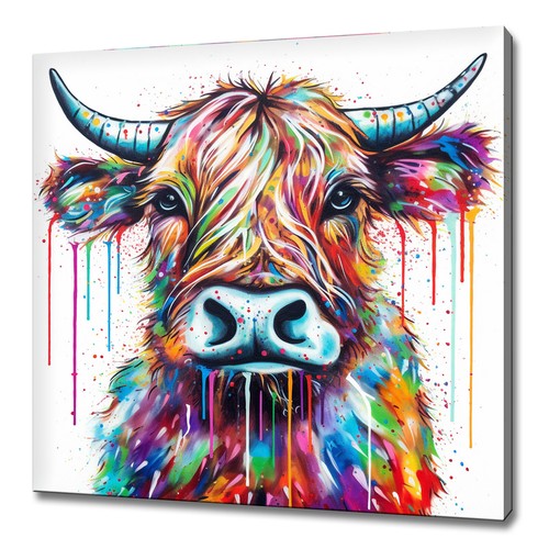 Highland cattle cow colourful - highland,