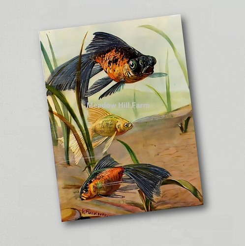 Fridge magnet goldfish classic - fridge,
