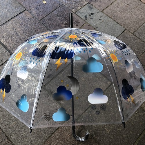 Ladies weather umbrella - ladies,