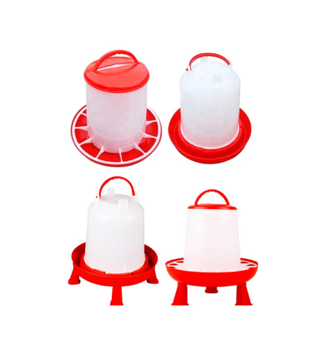 Chicken poultry feeder - poultry,