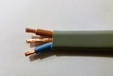 10mm Twin and Earth Shower