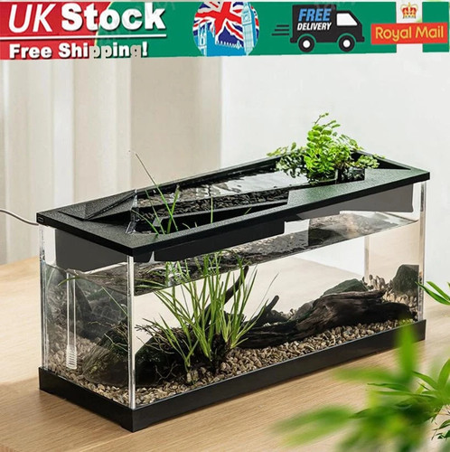 Aquarium fish tank small - aquarium,