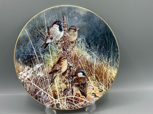 Coalport sparrows frosty - sparrows,