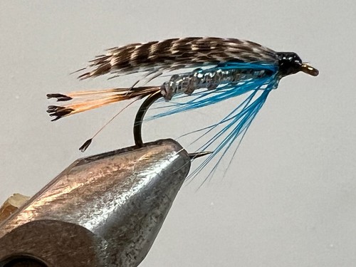 Trout wet flies teal - wet, blue