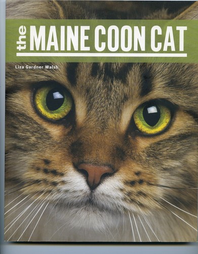 The maine coon - the, by