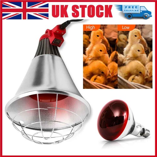 250w infrared heat lamp - infrared,