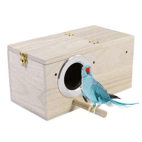 Wood parrot budgie lovebirds - wood,
