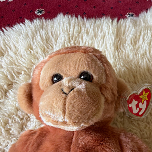 Beanie babies bongo monkey - bongo,