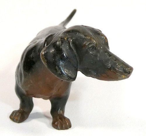 Vienna bronze dachshund - vienna,