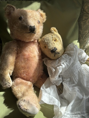 Chiltern teddy bears for - bears,