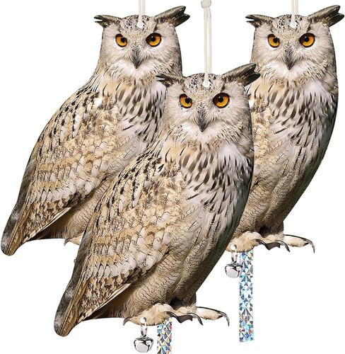 3pcs owl bird scarer set - bird,