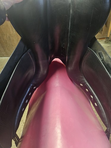 Albion slk dressage - albion,