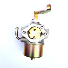 Carburettor Assembly Fits