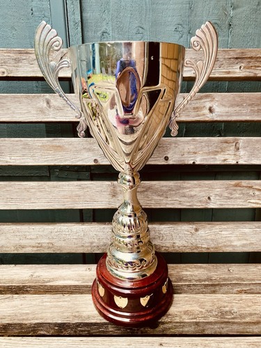 Big silver trophy - 🏆,