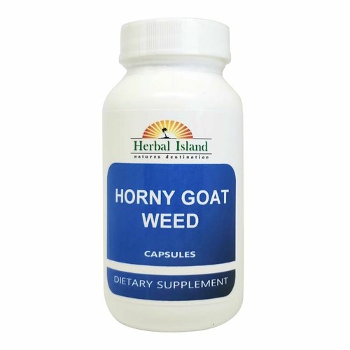 Horny goat weed epimedium - goat,