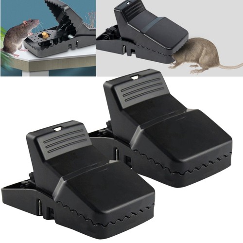 Pack xxl 21cm rat - 2,