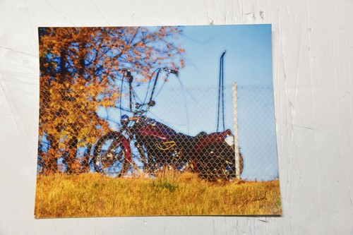 8x10 inch autumn photo - , of