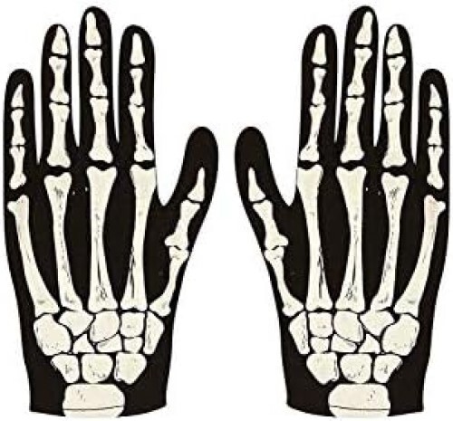 Halloween adult skeleton - halloween,
