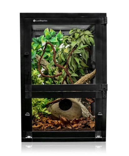 Swell reptiles premium - swell,
