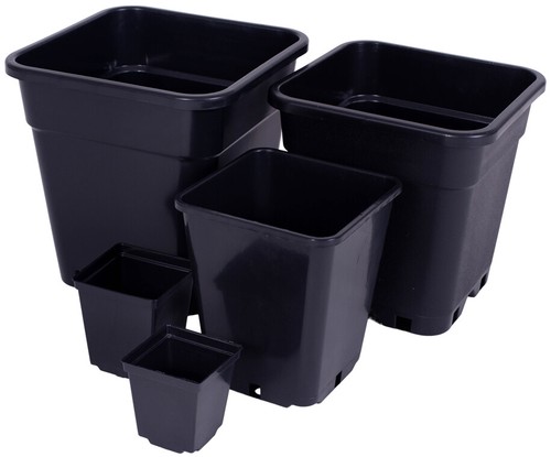 Black plastic plant pots - plastic, small