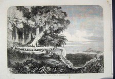 Original Old Antique Print