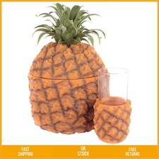 Stylish Retro Pineapple Ice