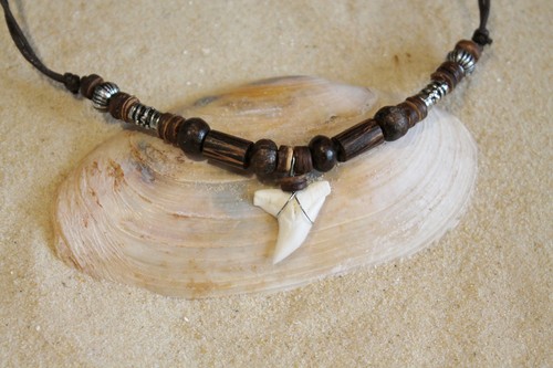 Shark tooth necklace surfer - shark,