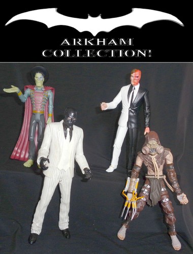 Gotham arkham villains - arkham,