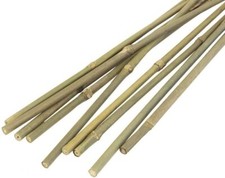 10x Large 5ft Bamboo Canes