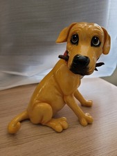 Pets With Personality Golden