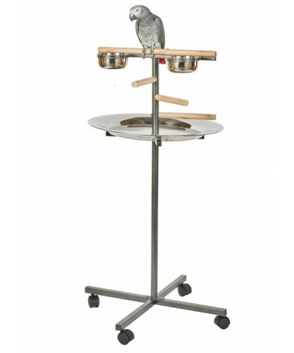 Rainforest parrot bar - rainforest, t-bar