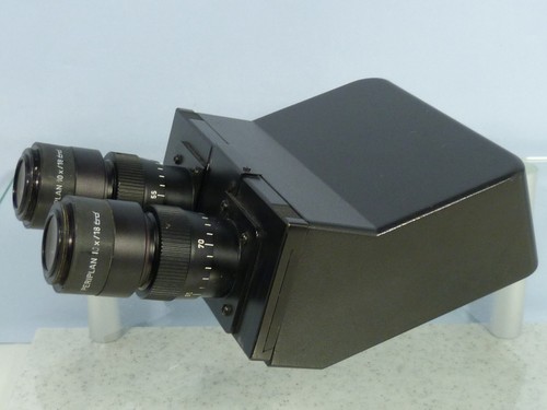 Leitz dialux binocular - leitz, +