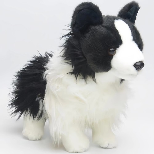 Douglas chase border collie - douglas,