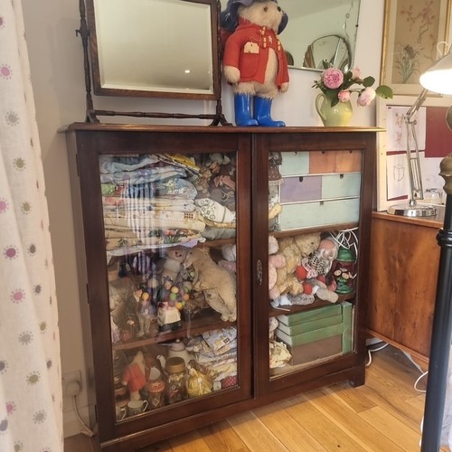 Antique bookcase shelves - bookcase,