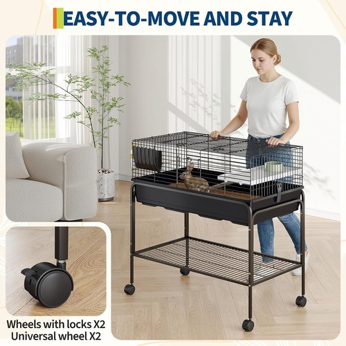 Guinea pig cage hay - pig, w/