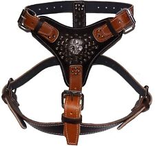 Two Tone Extra Large Heavy Duty Leather Dog Harness with American Bulldog Head