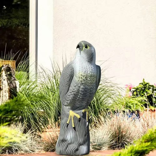 Realistic eagle falcon decoy - eagle,