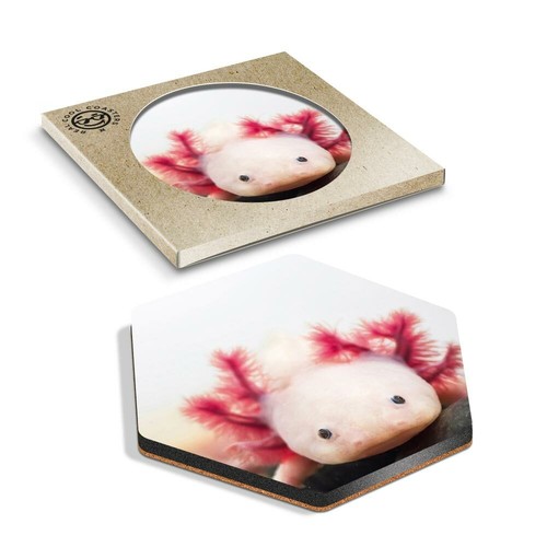 Hexagon coaster axolotl - 1,