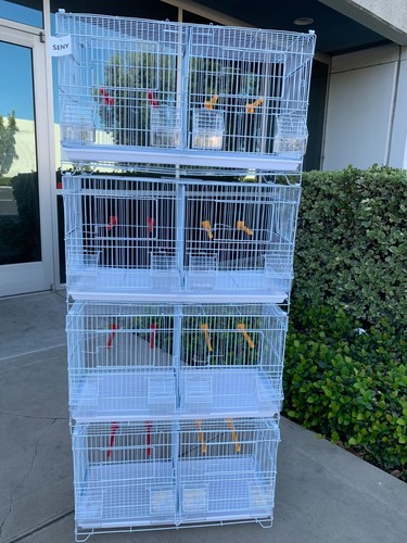 Ste stackable breeding - 4,