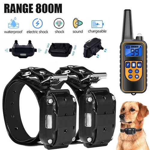 Remote dog training - training, collar