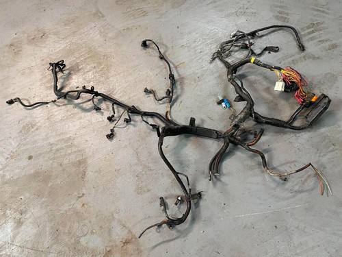 Engine ecu injector - ecu, wiring