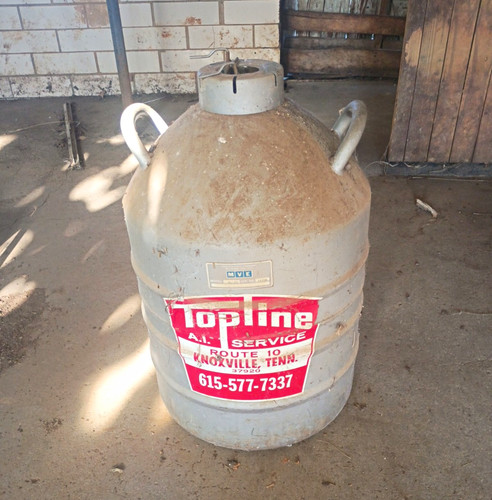Mve liquid nitrogen - mve, al-20