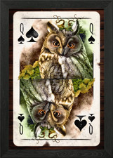 Spades Graceful Owl Queen