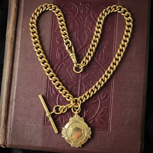 Antique edwardian albert chain - antique,